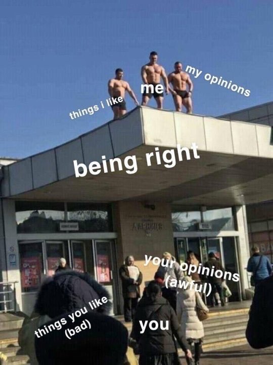 several muscular men stand on a rooftop. They are labelled as "my opinions (correct)". Some people below them are labelled as "your opinions (wrong)"